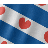 top flag GIF by Omrop Fryslân