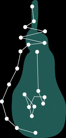 Meduse GIF