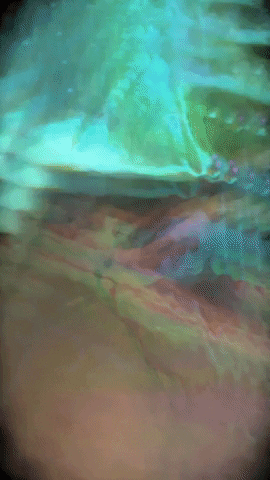 Party Rainbow GIF by Mollie_serena