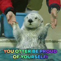 Gif Image