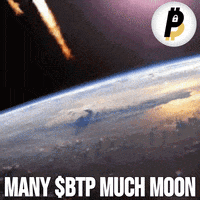To The Moon Bitcoin GIF by BitPal