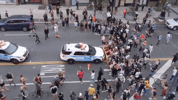 200.gif?cid=fc005b087158ddd741c190b38e32a4e5a391eb8fc0ecb87d&rid=200.gif&ct=g