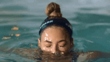 bee  GIF