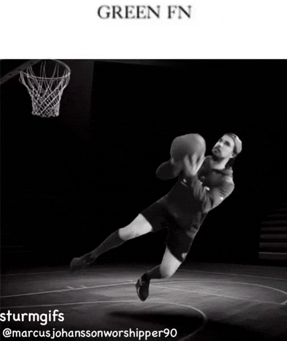 Minnesota Wild Hockey GIF