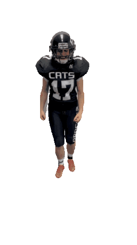 pragueblackcats Sticker