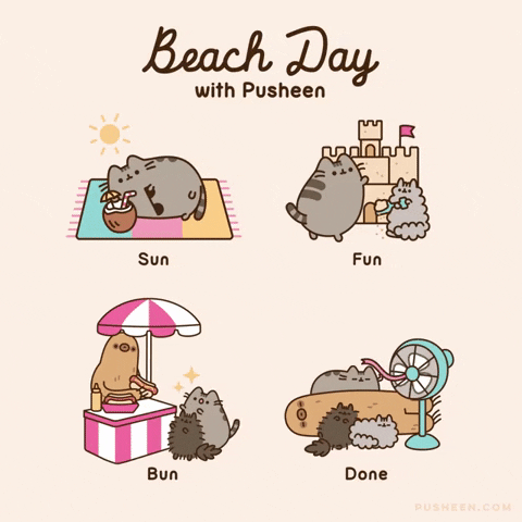 Cat GIF