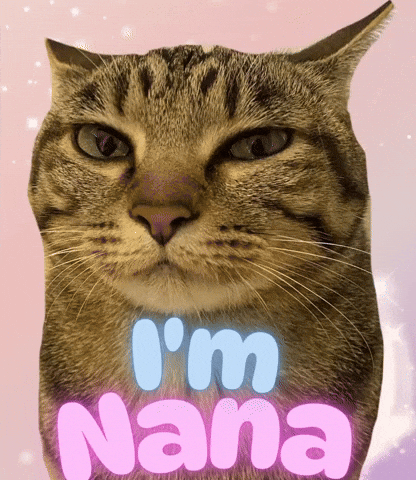 Cat Nana GIF