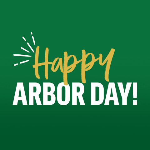 Happy Arbor Day GIF by Arbor Day Foundation