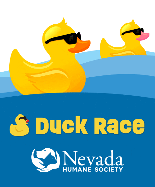 Nhs Duck Race GIF by Nevada Humane Society