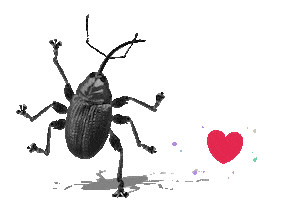 Bug Sticker by Fran BugMe