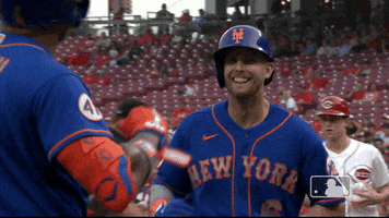 Ny Mets Dom Smith GIF by New York Mets
