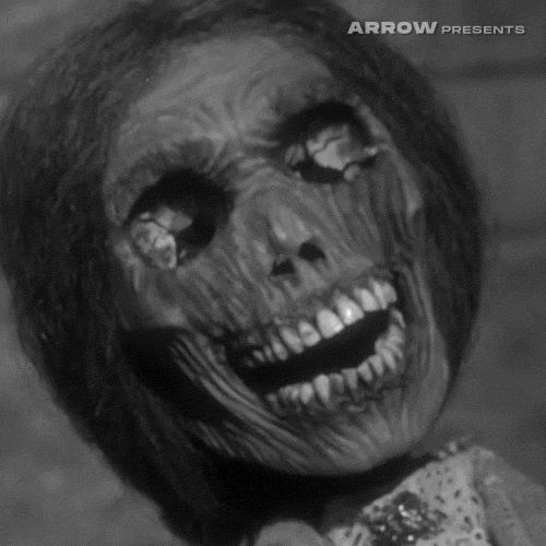 GIF by Arrow Video