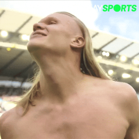 Premier League Football GIF by Play Sports