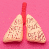 Be grateful for your breath