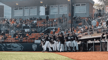 GIF by Oregon State Baseball
