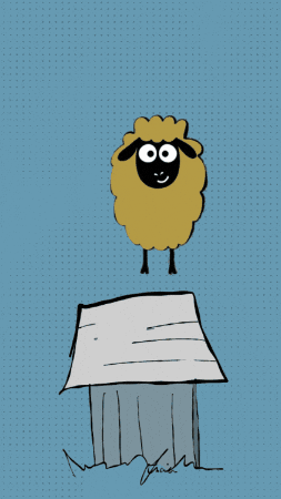 Sheep What GIF by ViaLucia