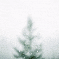 Christmas Tree GIF by STARCUTOUTSUK
