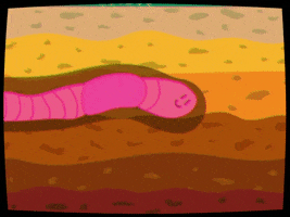 The Worm Cartoon GIF by d00dbuffet