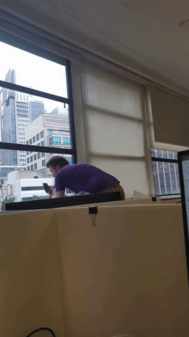 Animated GIF