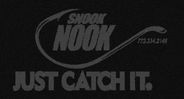 Fishing Snook GIF