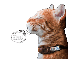 Cats Sticker by TengoQR