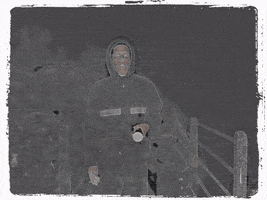 Halloween GIF