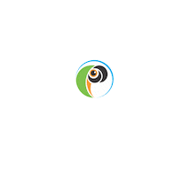 Turismo Love Sticker by Papagaios Tour