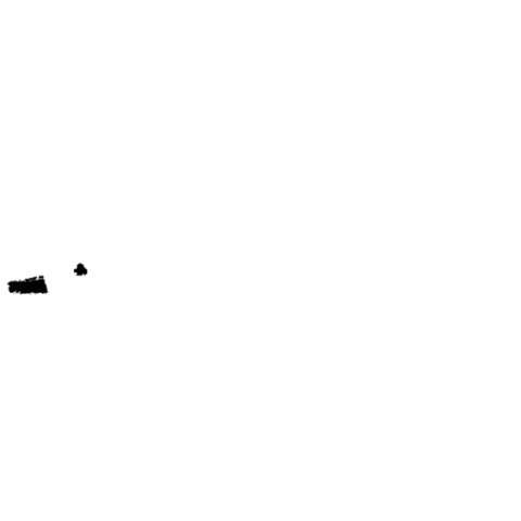 Bird Sticker