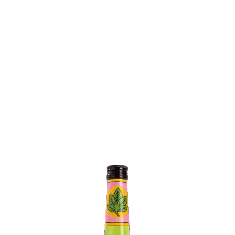 Prost Sticker by Sandra International