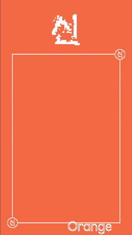 Orange Shin GIF