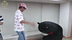 bts v i thought kumamon was a scary doll before i saw this omg this is so cute 3333 GIF