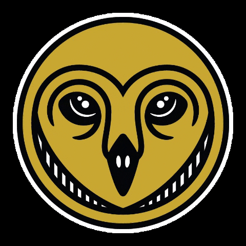 Canvasdesigncompany logo design skull owl GIF
