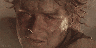 lord of the rings GIF