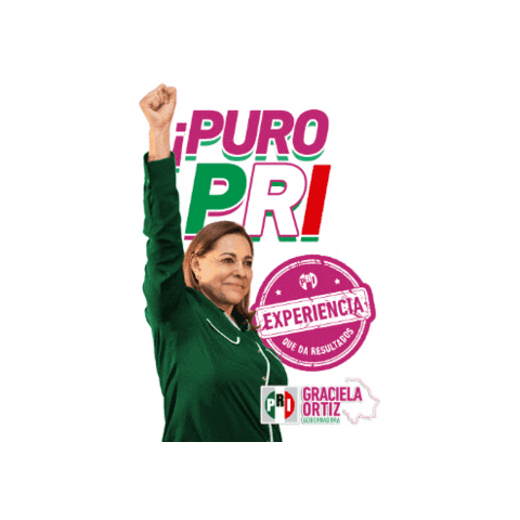 Ciudad Juarez Parral Sticker by Graciela Ortiz