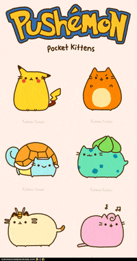 kittens tumblr gif
