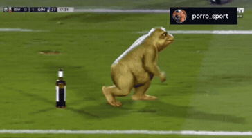 River Gallardo GIF
