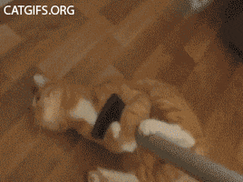 200.gif?cid=3640f6095beee3e378575a4b2ead