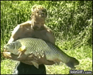 Big fish GIFs - Find & Share on GIPHY