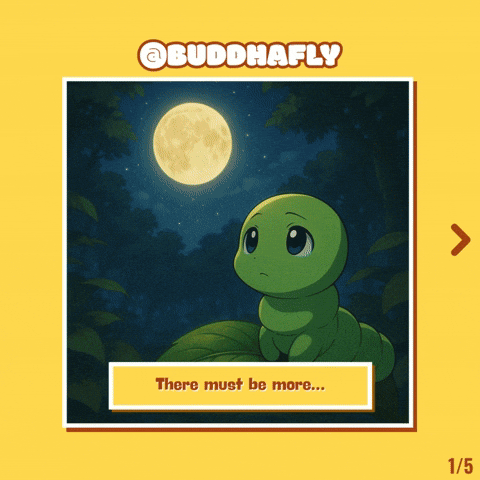 Fly What GIF by BuddhaFlyJourney