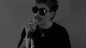 Singer Sunglasses GIF by French Police