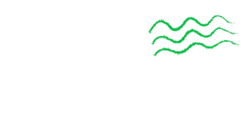 Grupo Salo Mx Sticker