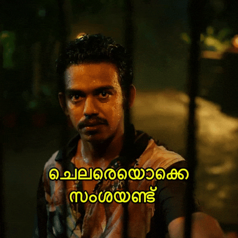 Mollywood GIF