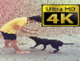 4K Ultra Hd GIF