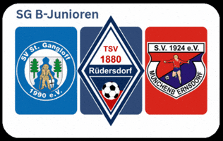 Tsv 1880 GIF by TSV 1880 Ruedersdorf
