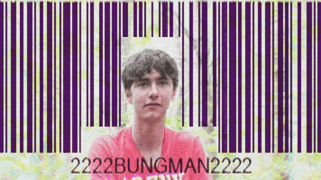 Bamabirch GIF