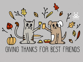 Best Friends Thank You GIF by Best Friends Animal Society - Find & Share on  GIPHY