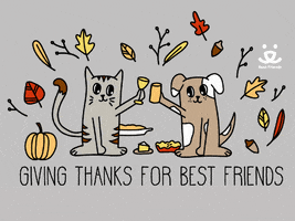Best Friends Thank You GIF by Best Friends Animal Society - Find & Share on GIPHY Best Friends Thank You GIF by Best Friends Animal Society - Find & Share on GIPHY