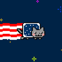 fourth of july cat GIF