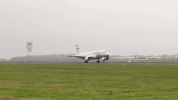 Take-Off Travel GIF by Brussels Airlines