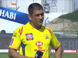 India Csk GIF